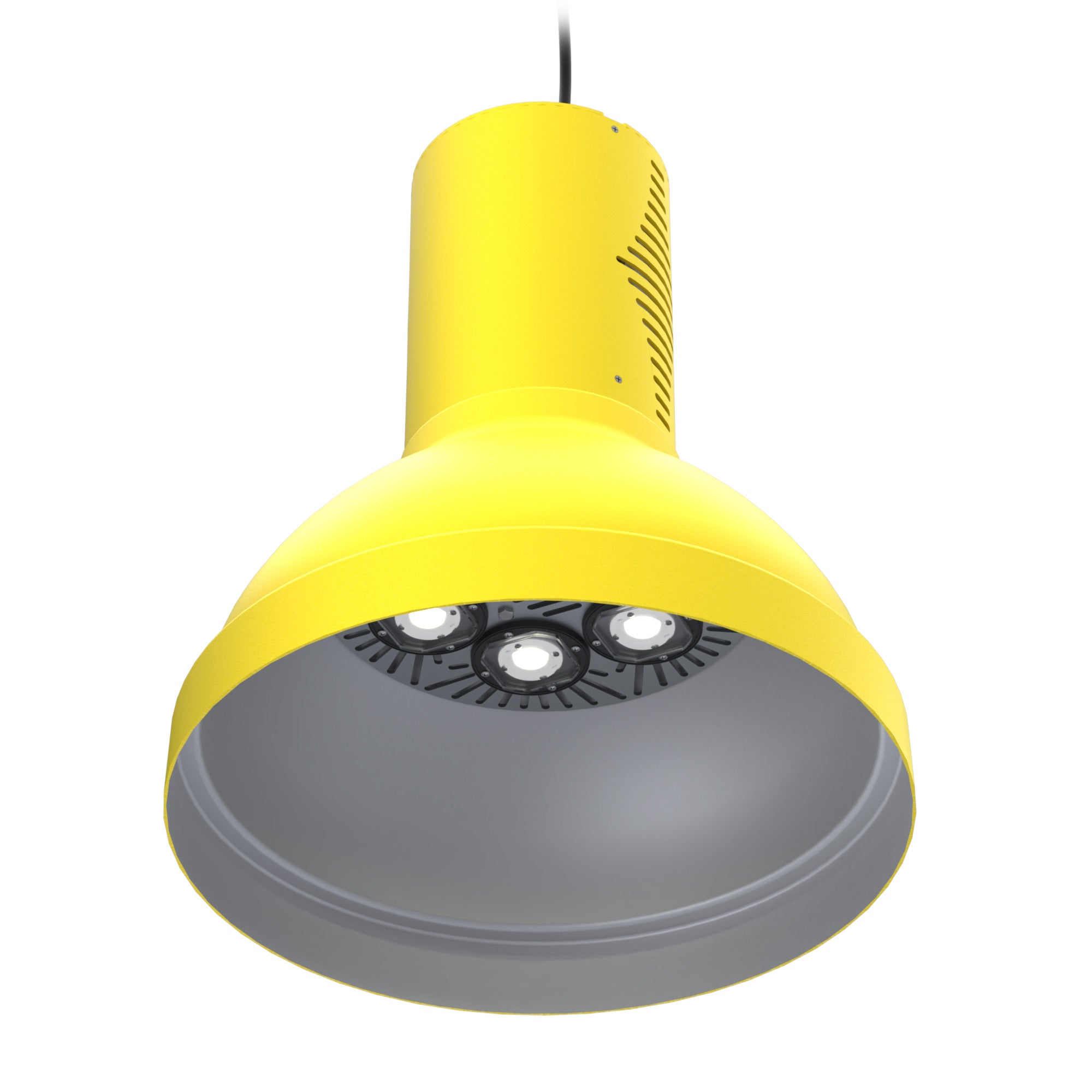 WiLLsport® Wrestling Dual Light Packages – Wisconsin Lighting Lab
