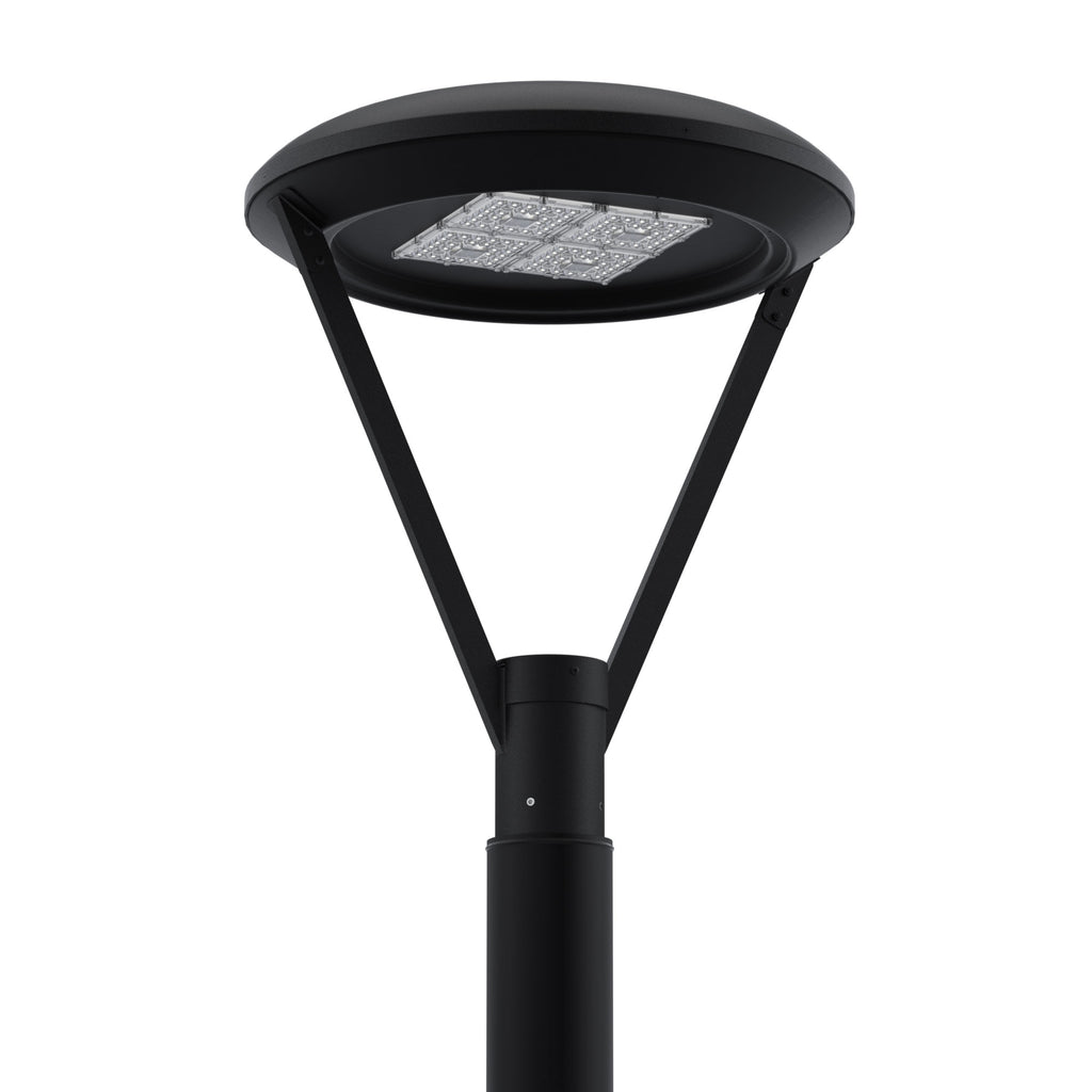 011Artistic D-light　150 011 Artistic