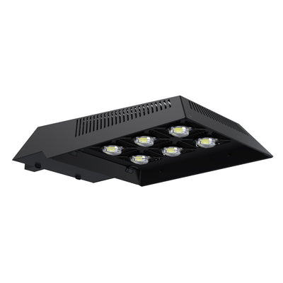 WILLsport® GTX High-Output Area