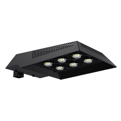 WILLsport® GTX High-Output Area