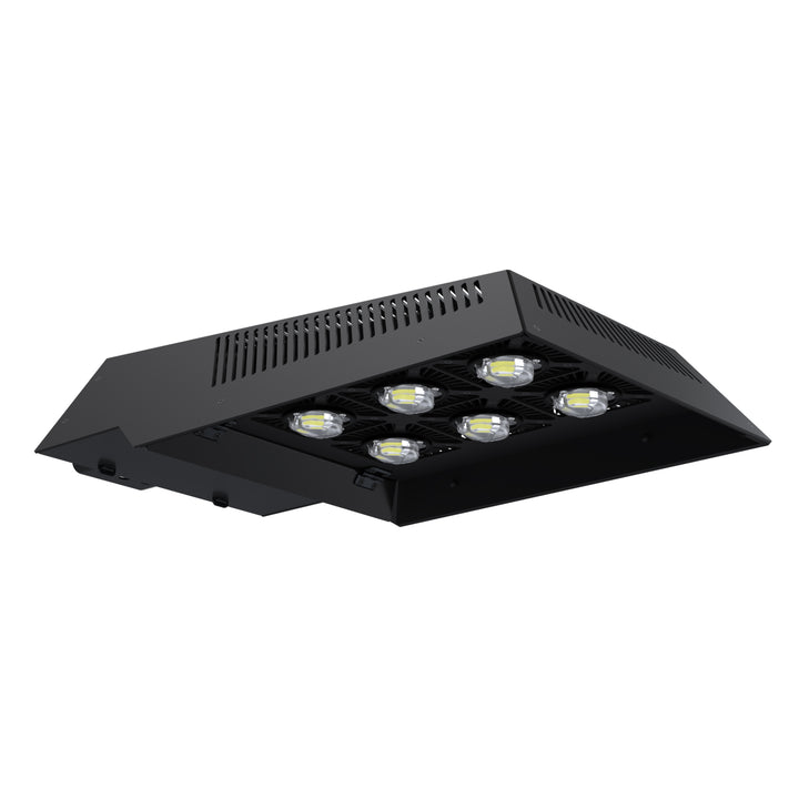 WILLsport® GTX High-Output Area – Wisconsin Lighting Lab, Inc. (WiLL)