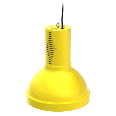 WiLLsport® Wrestling Dual Light Packages