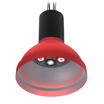 WiLLsport® Wrestling Dual Light Packages