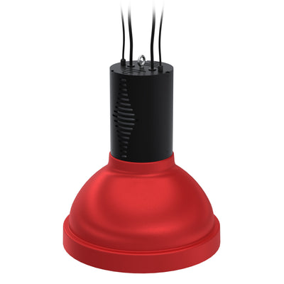WiLLsport® Wrestling Dual Light Packages