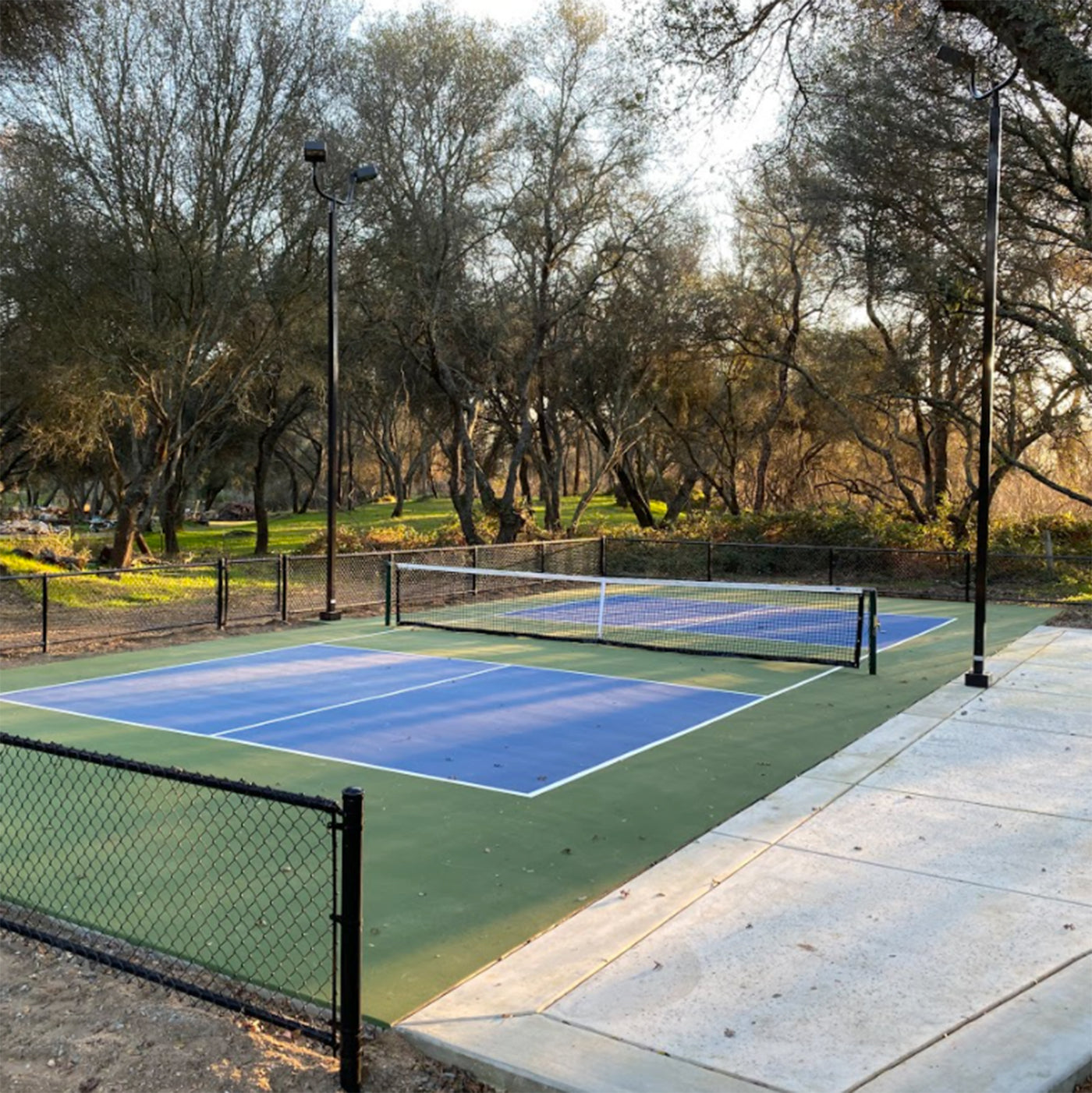 Backyard Pickleball Court Complete LED Lighting Package – Wisconsin ...