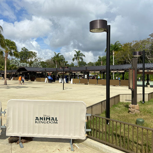 Disney's Animal Kingdom Lighting Infrastructure Upgrades | Lake Buena Vista, Florida